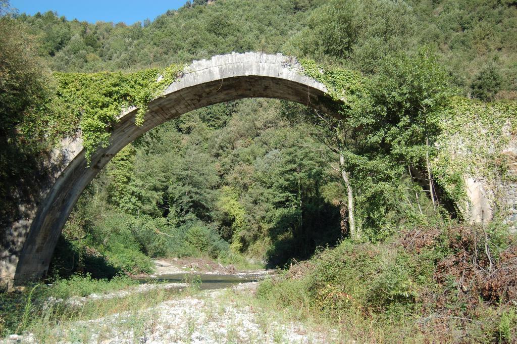 B&B Calabria Scigliano Exterior foto