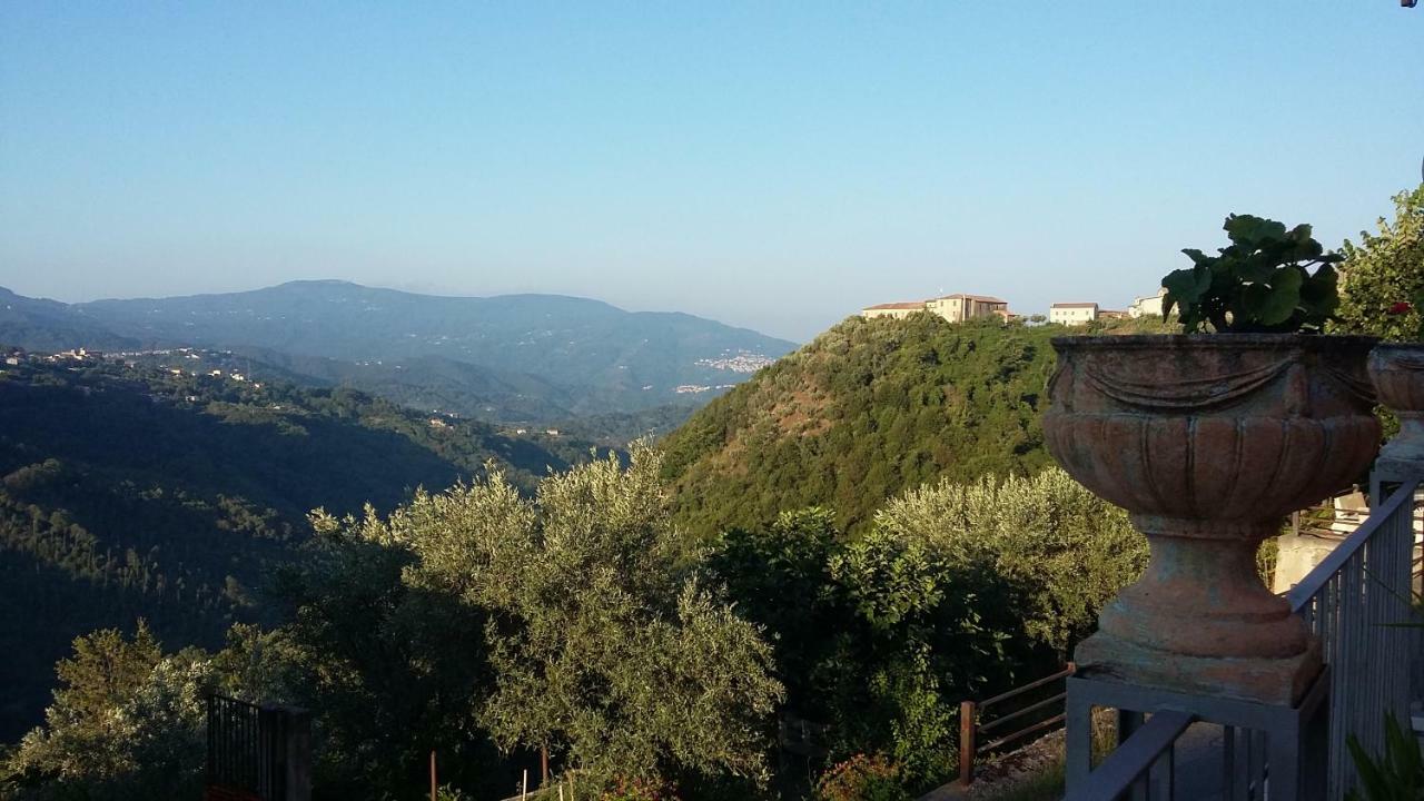 B&B Calabria Scigliano Exterior foto